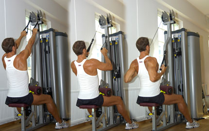 träna ryggen gym