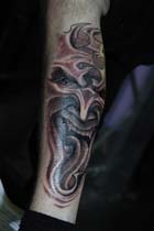 frontface_02 (35)