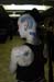 frontface_001 (11)