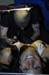 frontface_001 (27)