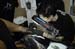 frontface_001 (44)