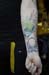 frontface_01 (13)