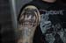 frontface_02 (26)