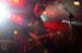 Frontface_Jack_rocks_a_0090
