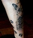 Tattoo_0356